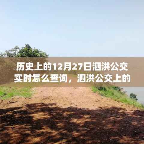 泗洪公交暖心时光,历史与日常的温馨旅程实时查询指南