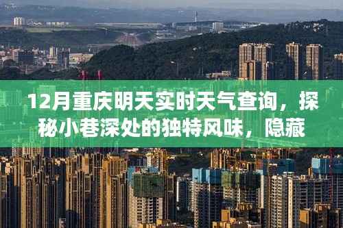 探秘重庆小巷美食,实时天气下的惊喜小店与独特风味