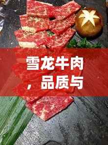 雪龙牛肉,品质与价格的完美融合,值得品尝!