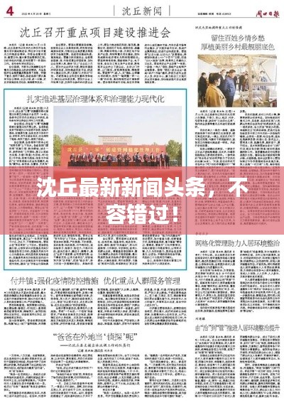 沈丘最新新闻头条,不容错过!