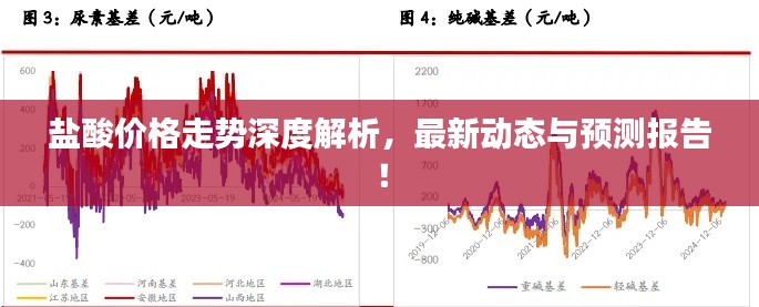 盐酸价格走势深度解析,最新动态与预测报告!