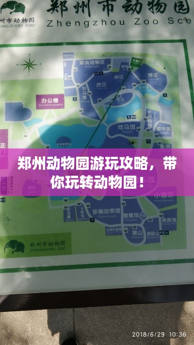 郑州动物园游玩攻略,带你玩转动物园!