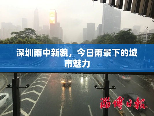 深圳雨中新貌,今日雨景下的城市魅力