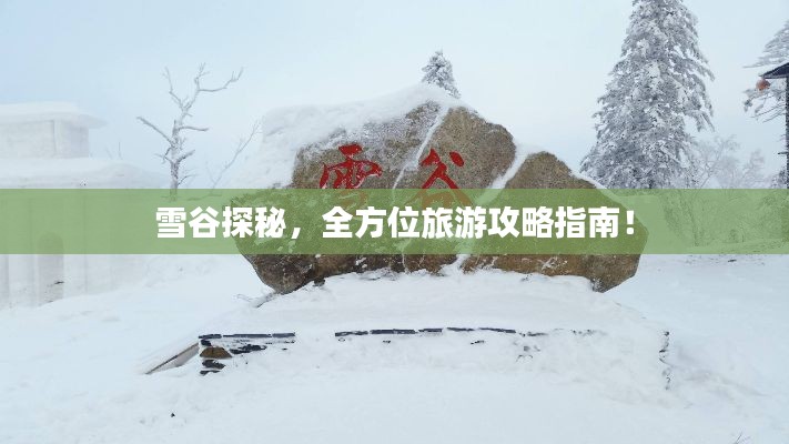 雪谷探秘,全方位旅游攻略指南!