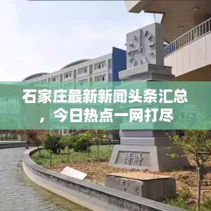 石家庄最新新闻头条汇总,今日热点一网打尽