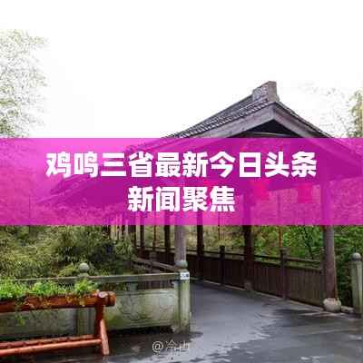 鸡鸣三省最新今日头条新闻聚焦