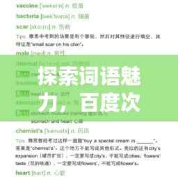 探索词语魅力,百度次组词引领你走进词汇的奇妙世界