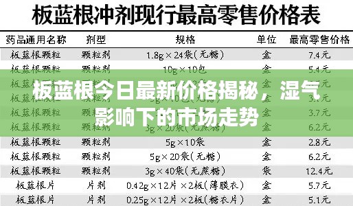 板蓝根今日最新价格揭秘,湿气影响下的市场走势