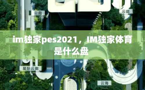 im独家pes2021,IM独家体育是什么盘
