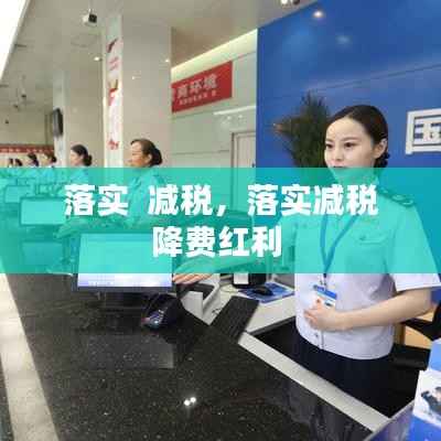 落实  减税,落实减税降费红利