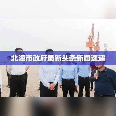 北海市政府最新头条新闻速递