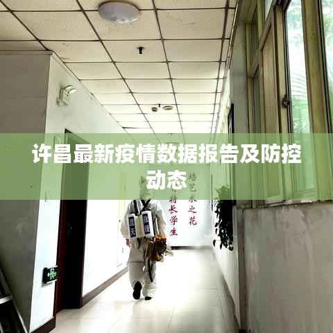 许昌最新疫情数据报告及防控动态