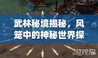 武林秘境揭秘,风笼中的神秘世界探寻之旅