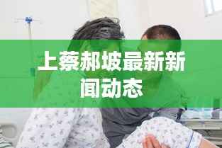 上蔡郝坡最新新闻动态