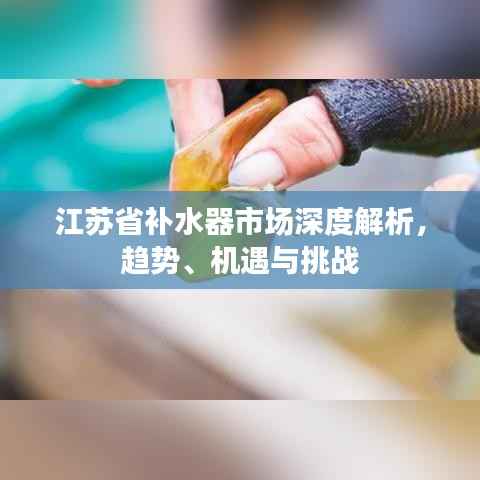 江苏省补水器市场深度解析，趋势、机遇与挑战