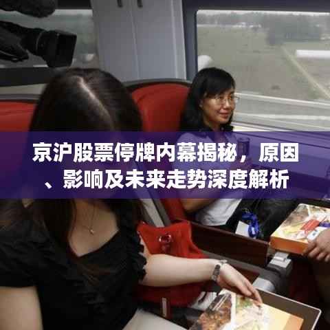 京沪股票停牌内幕揭秘,原因、影响及未来走势深度解析
