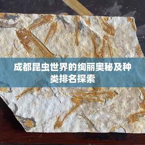 成都昆虫世界的绚丽奥秘及种类排名探索