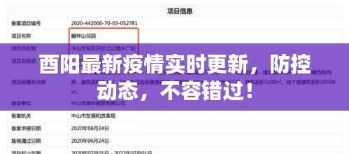 酉阳最新疫情实时更新,防控动态,不容错过!