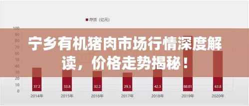 宁乡有机猪肉市场行情深度解读,价格走势揭秘!