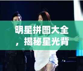 明星拼图大全,揭秘星光背后的精彩瞬间
