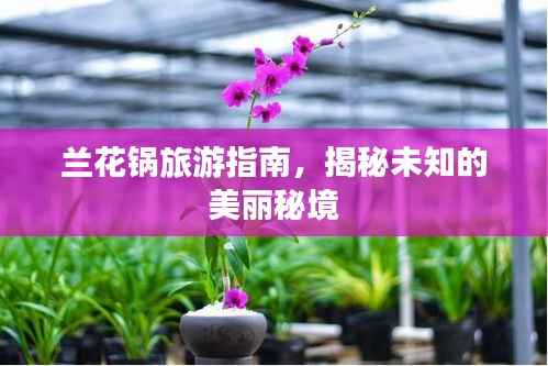 兰花锅旅游指南,揭秘未知的美丽秘境