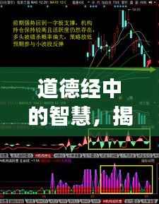 道德经中的智慧,揭示股票投资的深层洞察