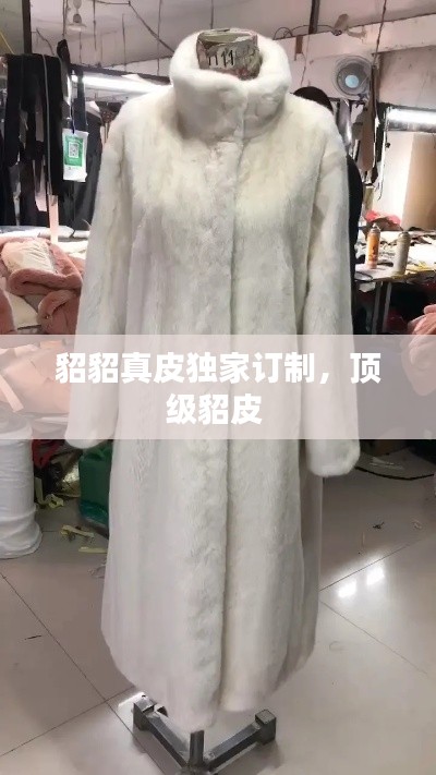 貂貂真皮独家订制,顶级貂皮