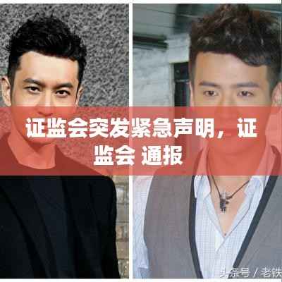 证监会突发紧急声明，证监会 通报 