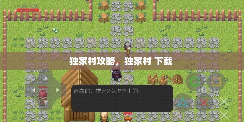 独家村攻略,独家村 下载