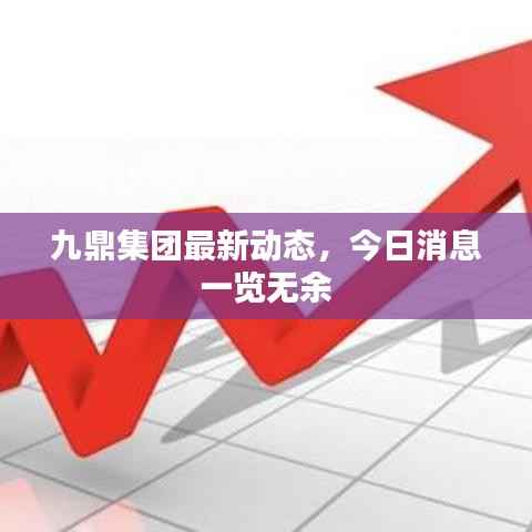 九鼎集团最新动态,今日消息一览无余