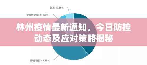 林州疫情最新通知,今日防控动态及应对策略揭秘