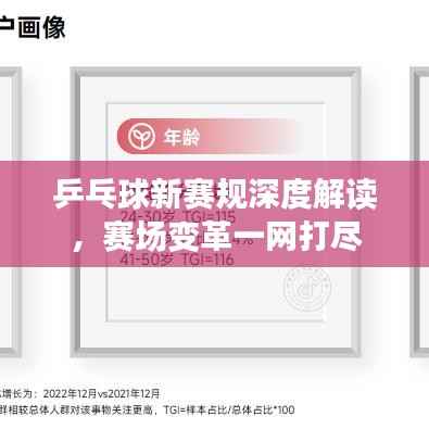乒乓球新赛规深度解读,赛场变革一网打尽