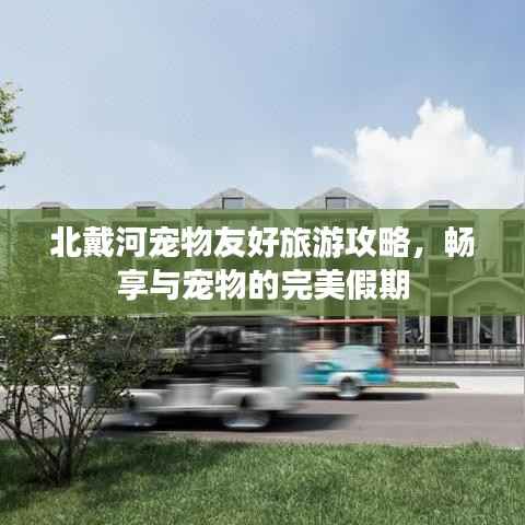 北戴河宠物友好旅游攻略,畅享与宠物的完美假期