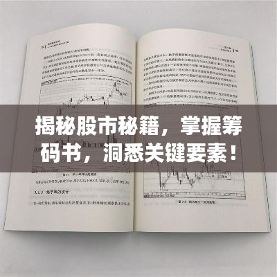 揭秘股市秘籍，掌握筹码书，洞悉关键要素！
