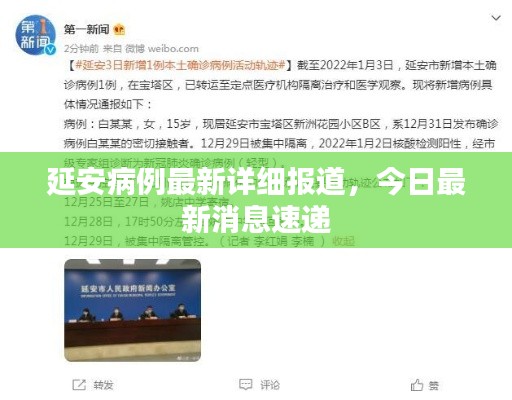 延安病例最新详细报道,今日最新消息速递