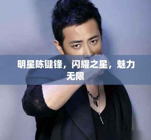 明星陈键锋,闪耀之星,魅力无限